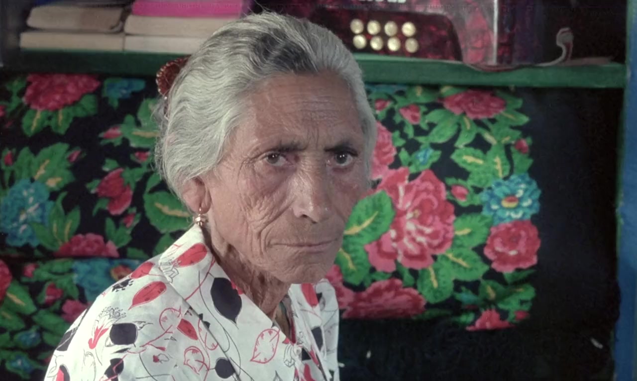 Le gitan screenshot 3