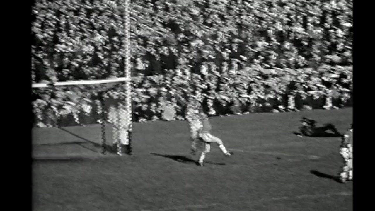 The Galahs screenshot 2