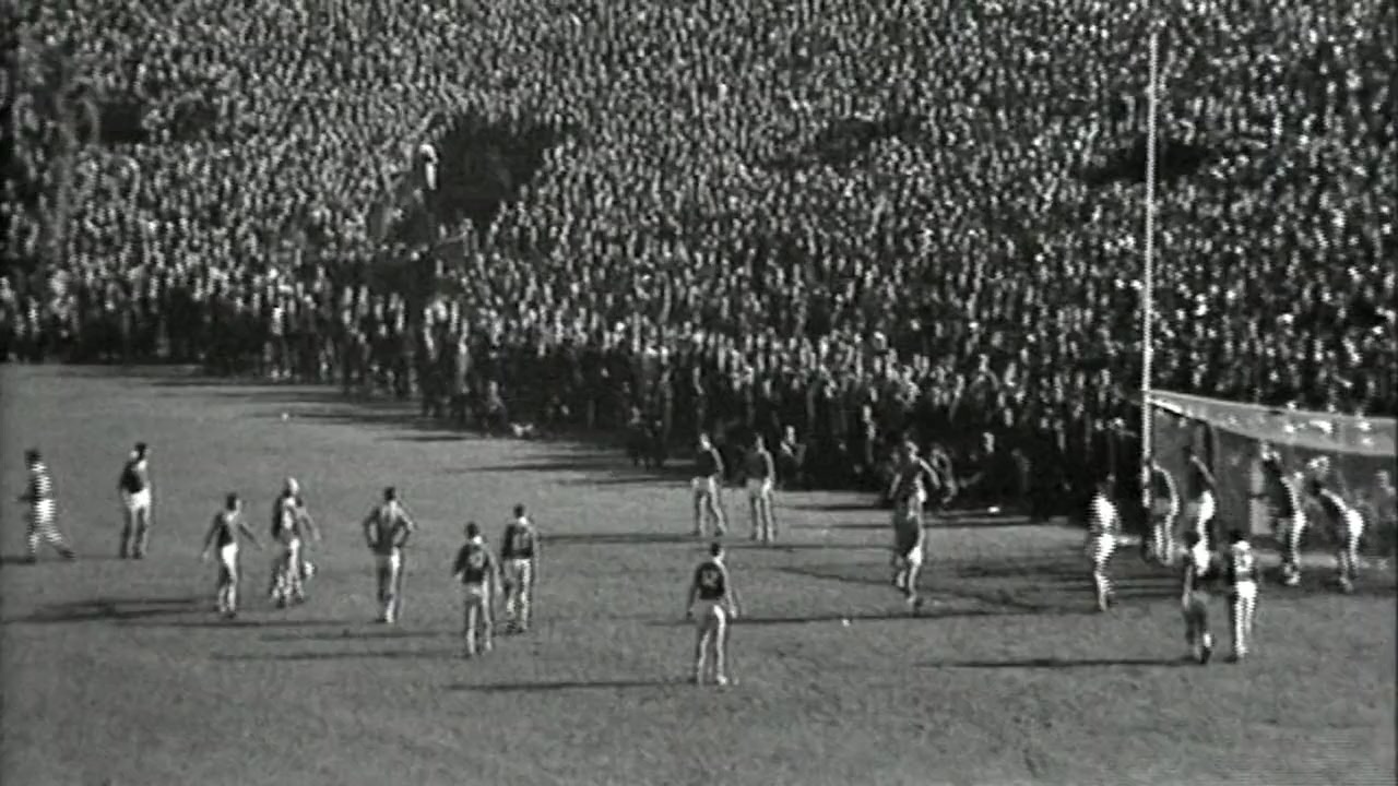 The Galahs screenshot 3