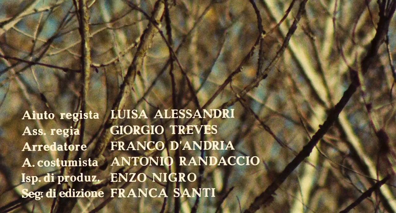 Il giardino dei Finzi Contini screenshot 1