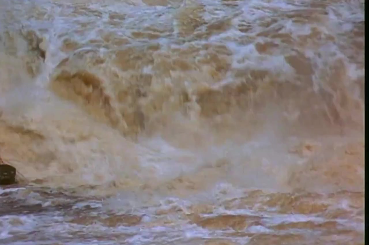 The Gerson Miracle screenshot 2