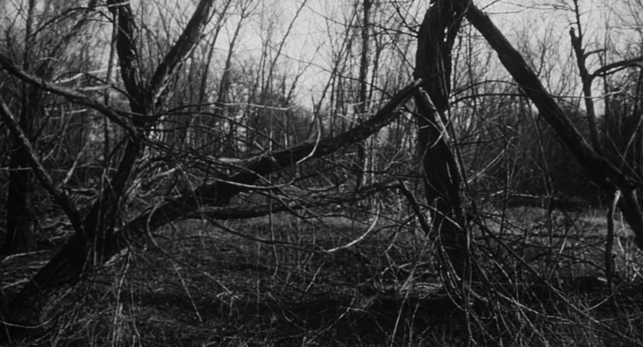 The Giant Gila Monster screenshot 2