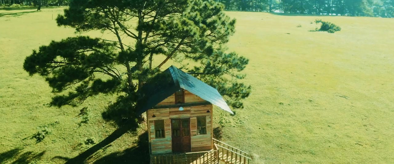 Doi cho ta bao lan doi muoi screenshot 2