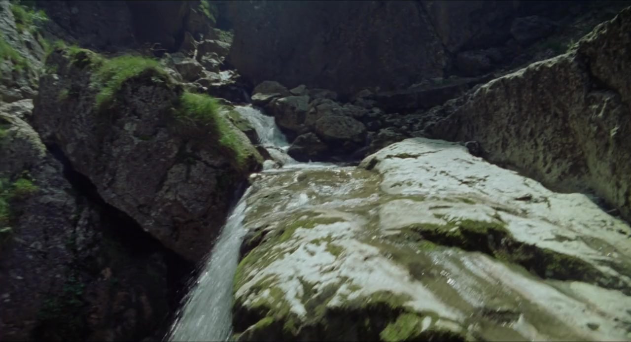 Une hirondelle a fait le printemps screenshot 3
