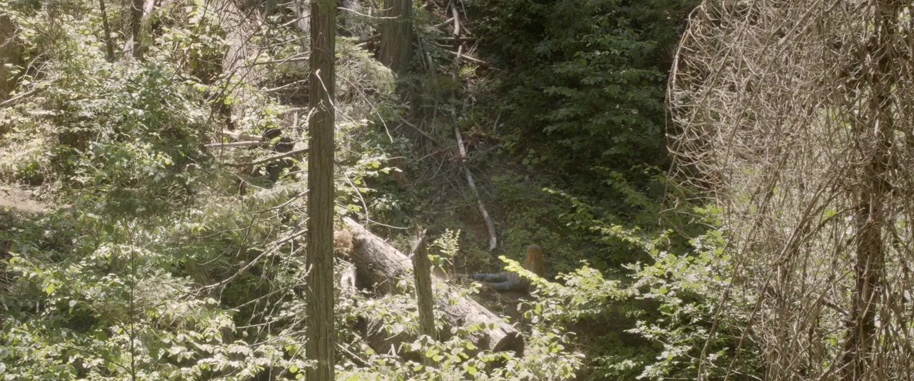 The Girl on the Mountain screenshot 1