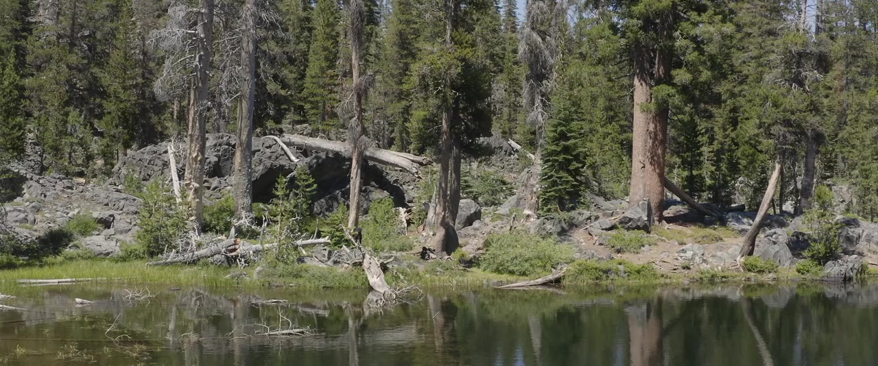 The Girl on the Mountain screenshot 2