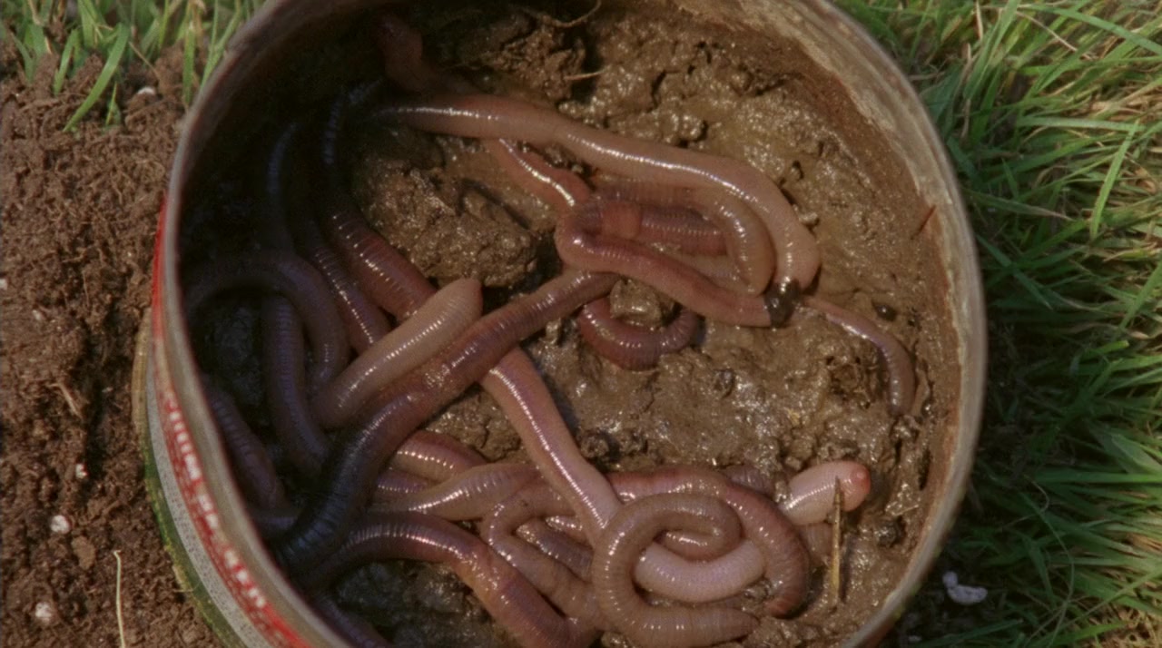 The Girl Next Door screenshot 3