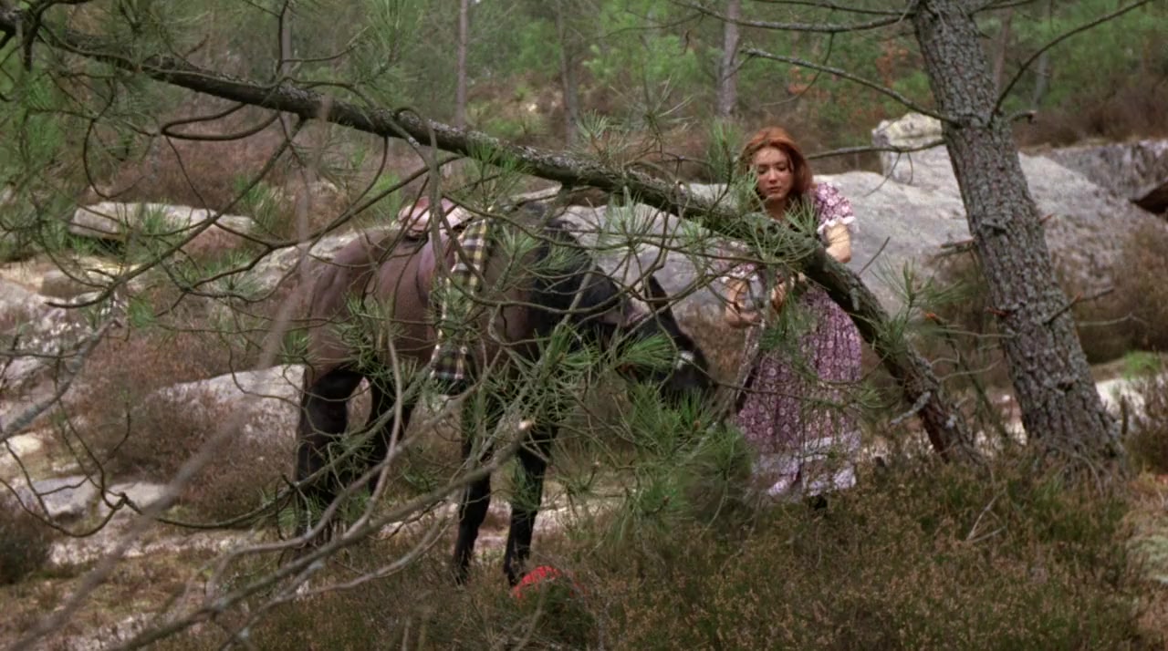 Les filles du Golden Saloon screenshot 2