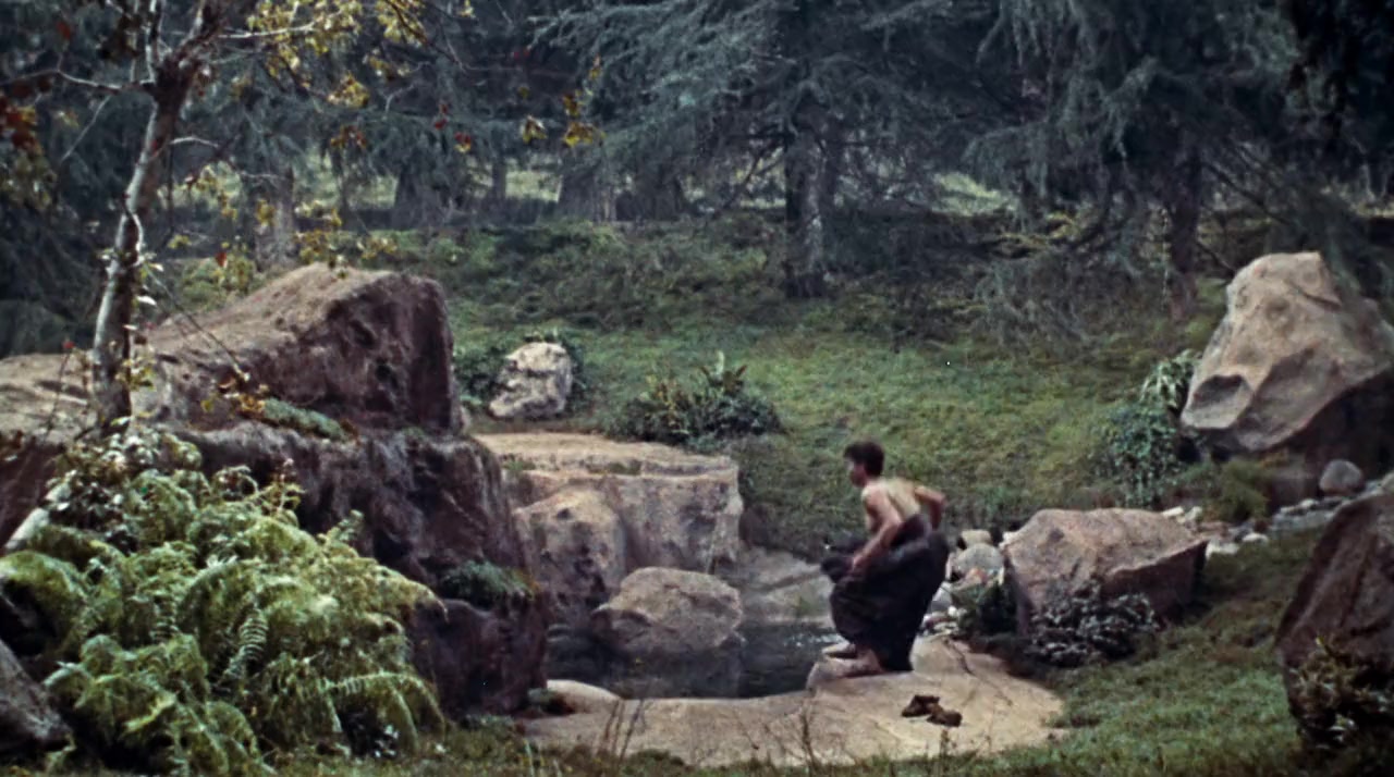 The Glass Slipper screenshot 1