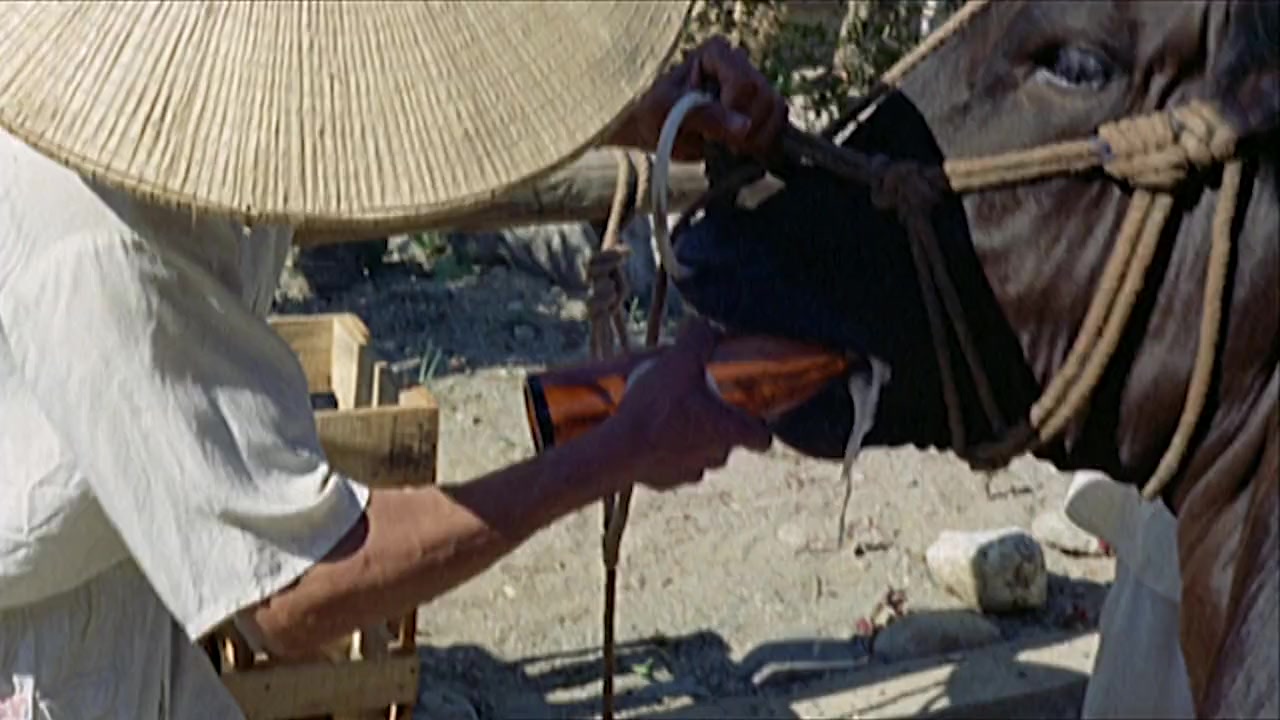 The Godfathers of Mondo screenshot 3