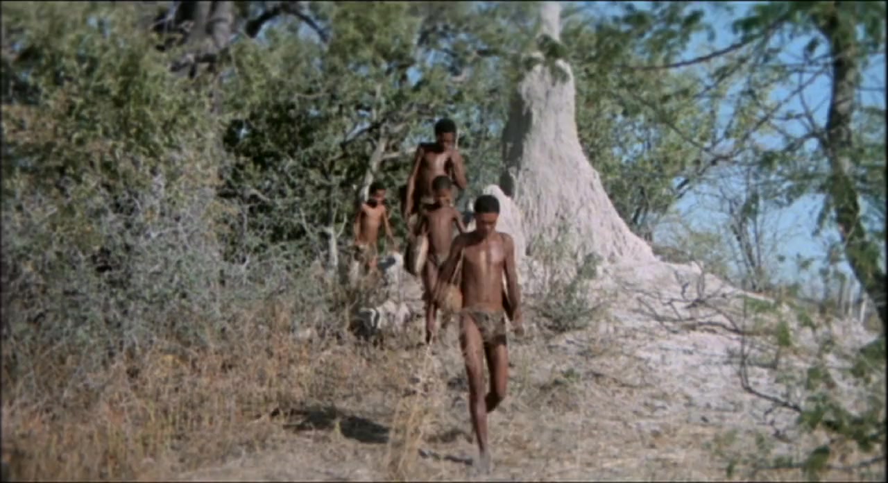 The Gods Must Be Crazy II screenshot 2