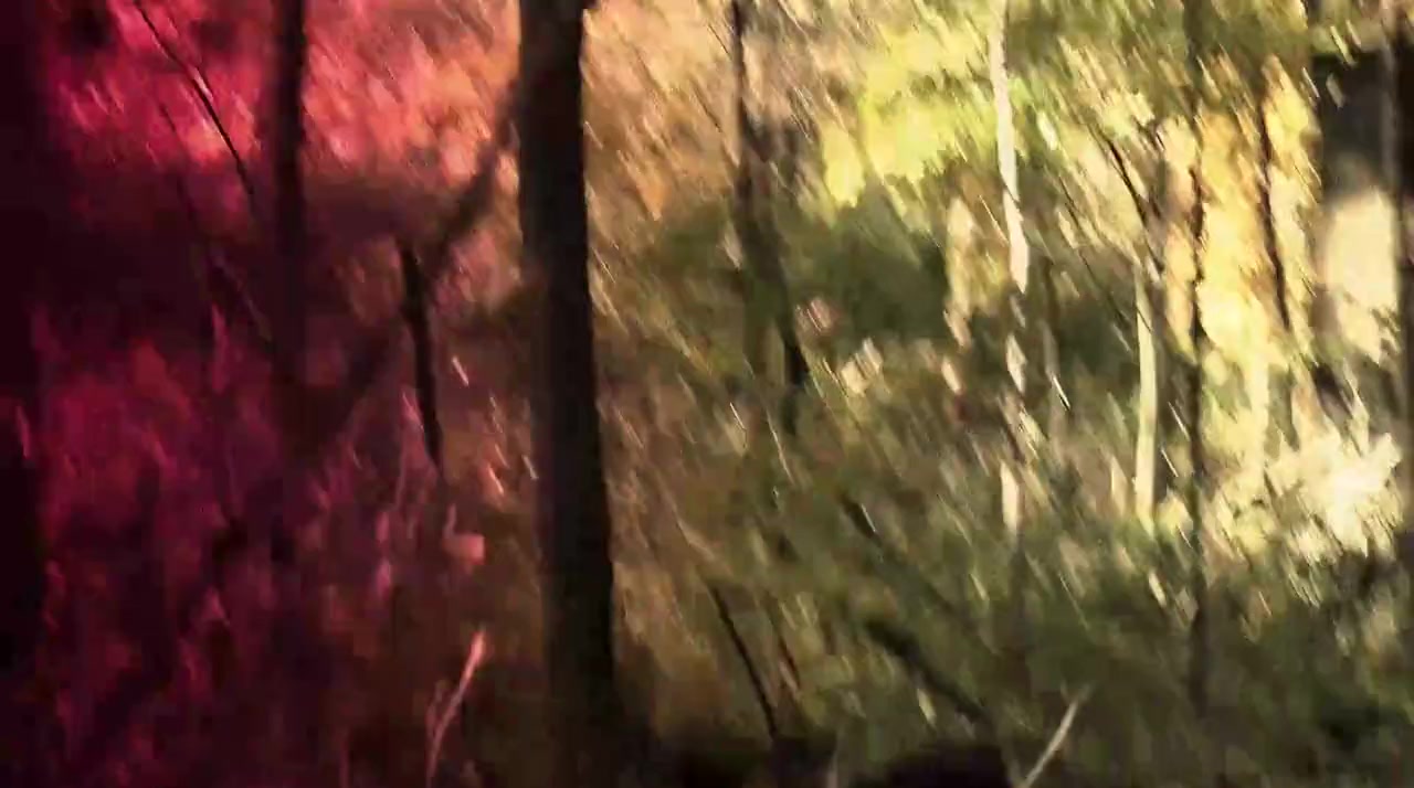 The Goocher screenshot 3