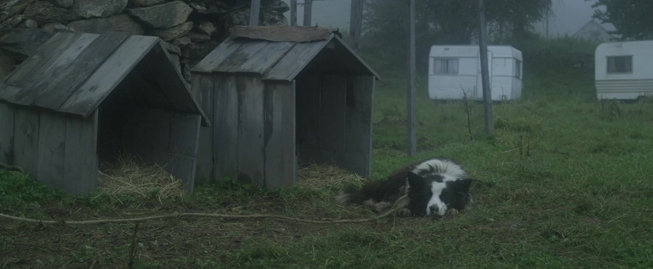 La belle vie screenshot 1