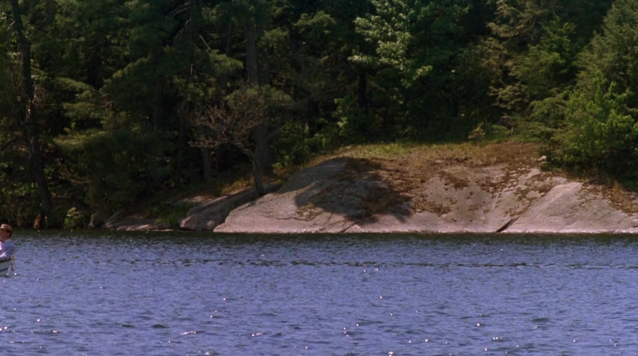 The Good Mother screenshot 3
