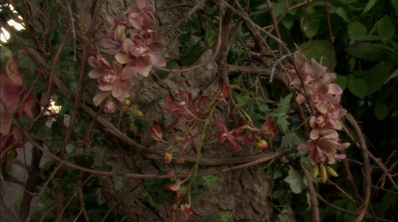 The Good Witch's Garden screenshot 2