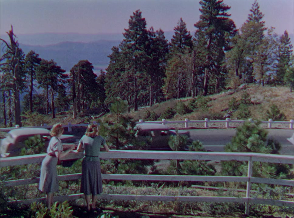 The Goldwyn Follies screenshot 1