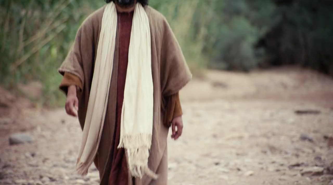 The Gospel of Luke screenshot 3