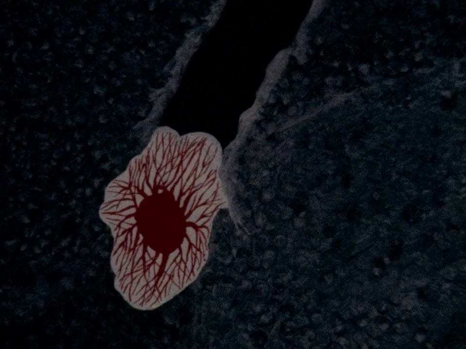 The Grandmother screenshot 2
