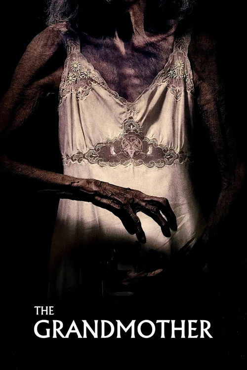 La abuela (2021) poster