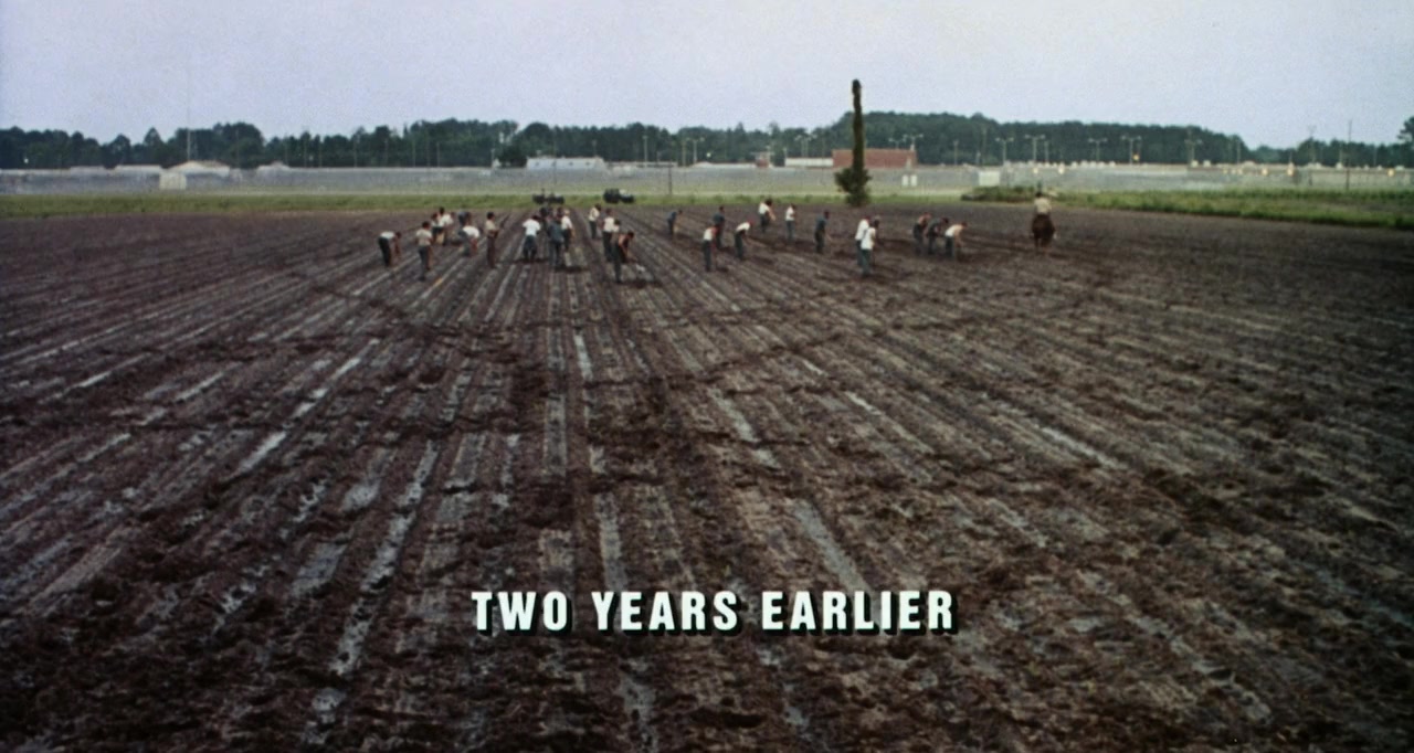 The Grave screenshot 1