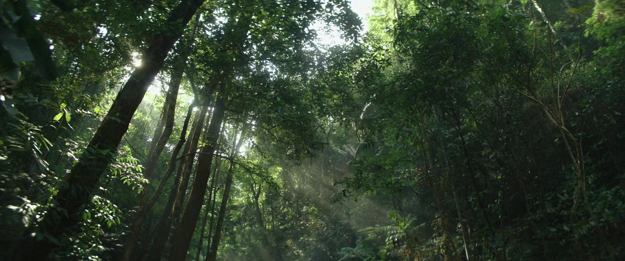 La Promesse verte screenshot 1