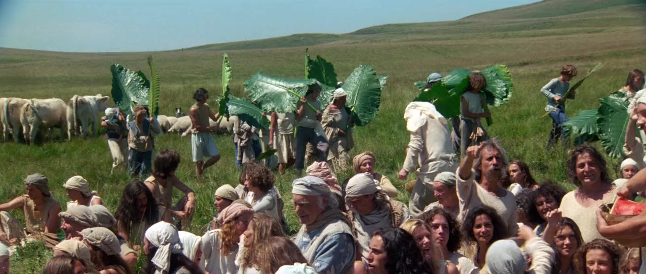 La belle verte screenshot 3