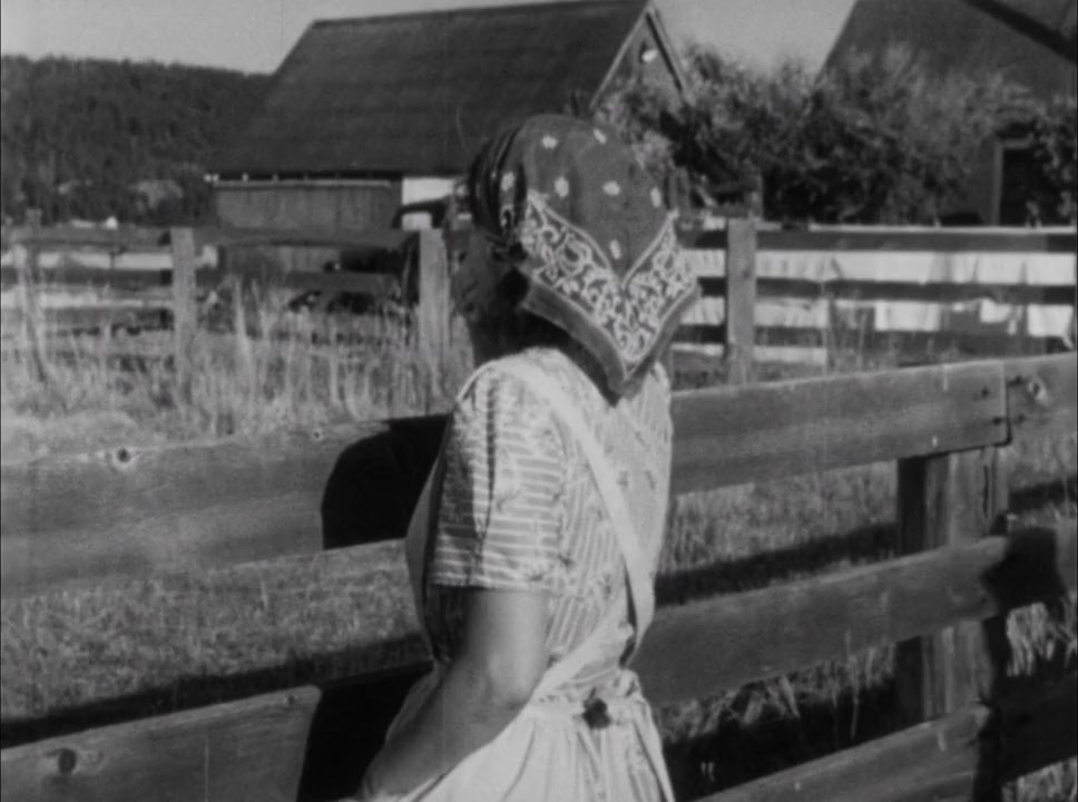 The Green Promise screenshot 3