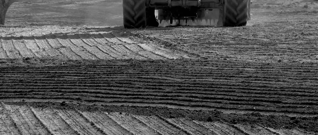 The Ground We Won screenshot 1
