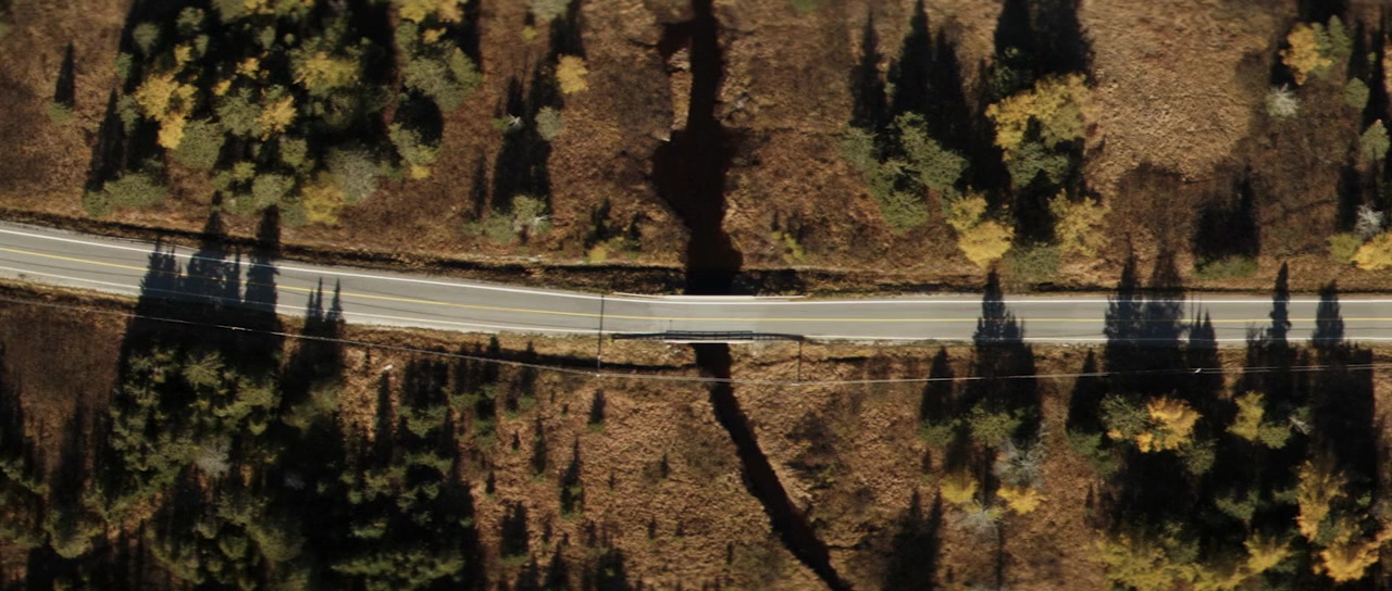 The Hummingbird Project screenshot 1