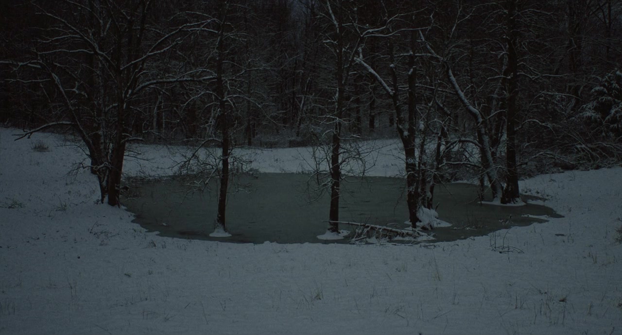 The Human Hibernation screenshot 1
