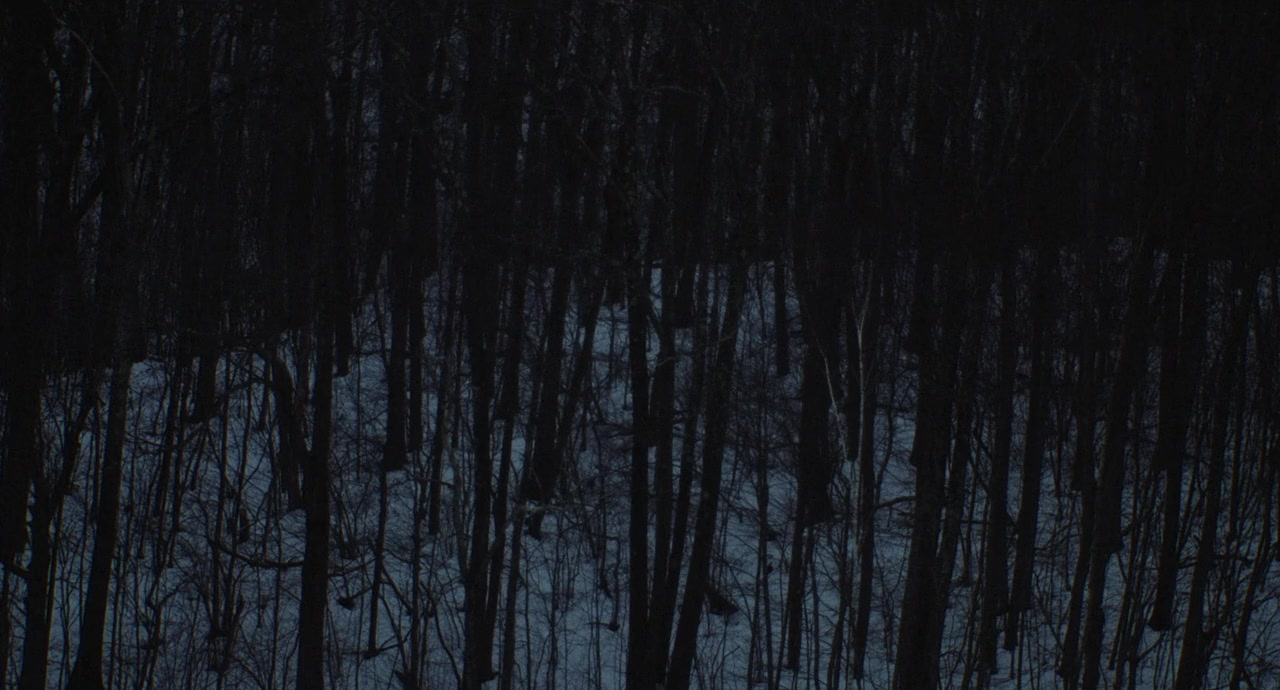 The Human Hibernation screenshot 2