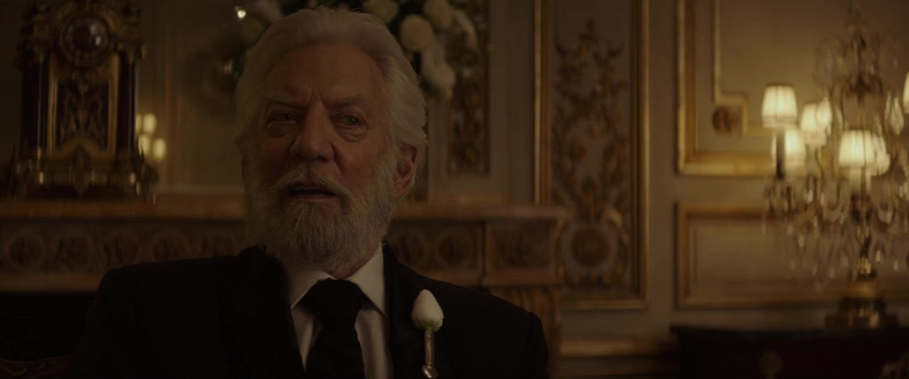 The Hunger Games: Mockingjay - Part 2 screenshot 3