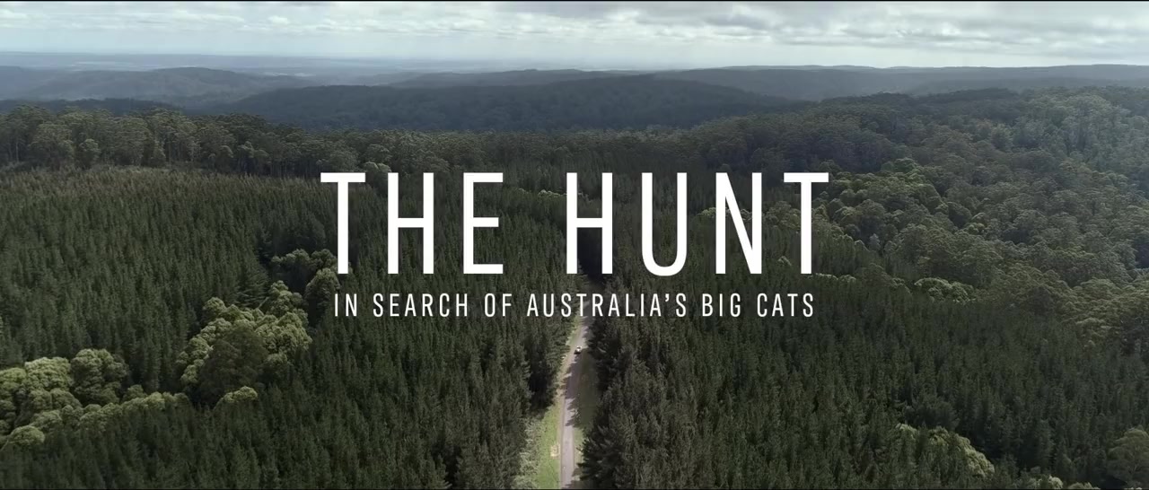 The Hunt: In Search of Australia's Big Cats screenshot 2