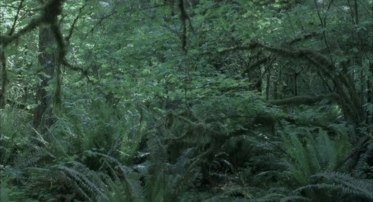 The Hunted screenshot 1