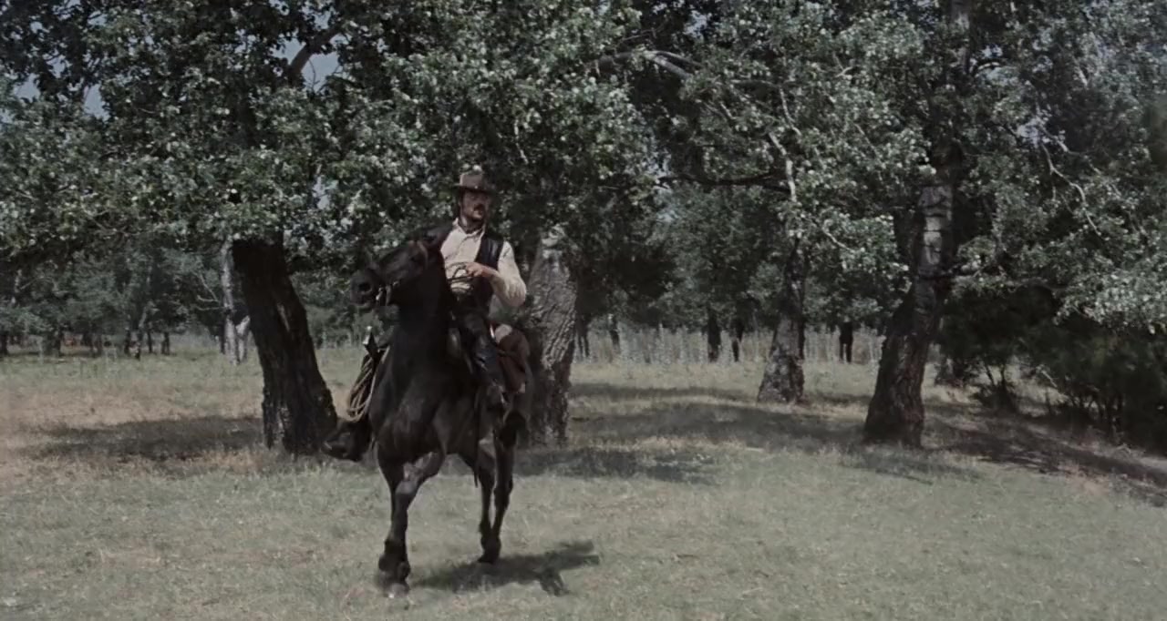 The Hunting Party screenshot 1