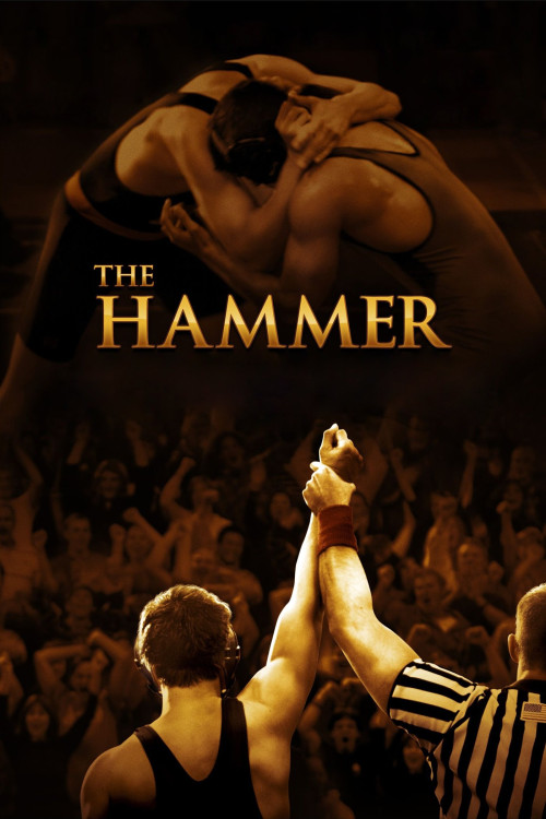 Hamill (2010) poster