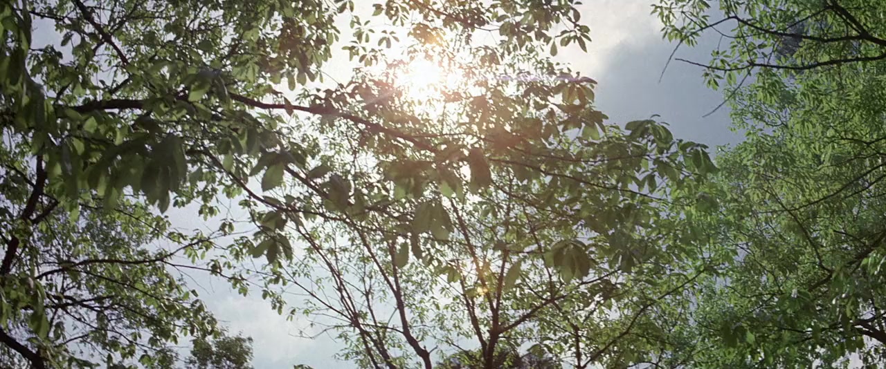 Shao Lin men screenshot 1