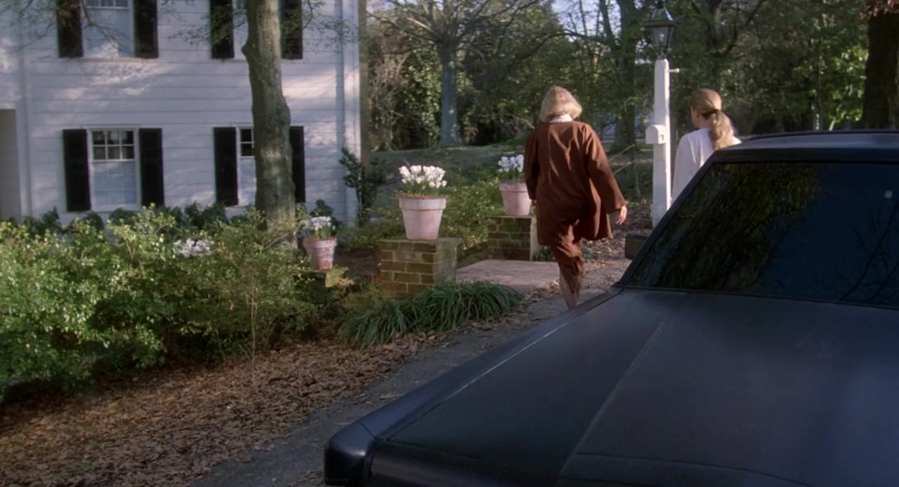 The Handmaid's Tale screenshot 3