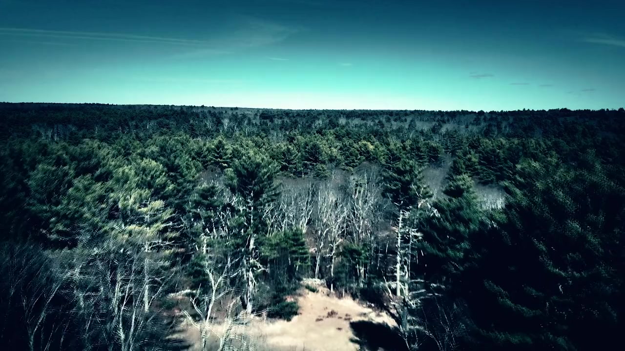 The Harrisville Haunting: The Real Conjuring House screenshot 1