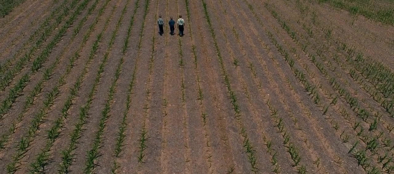 The Harvesting screenshot 1