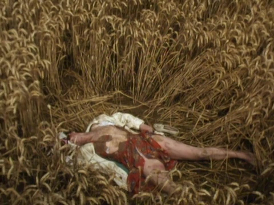 The Hawk screenshot 2