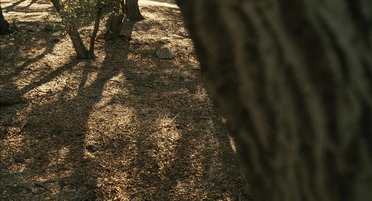 The Haunting of Molly Hartley screenshot 2