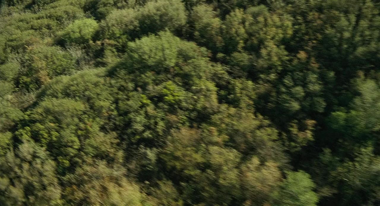 The Haunting of Molly Hartley screenshot 3
