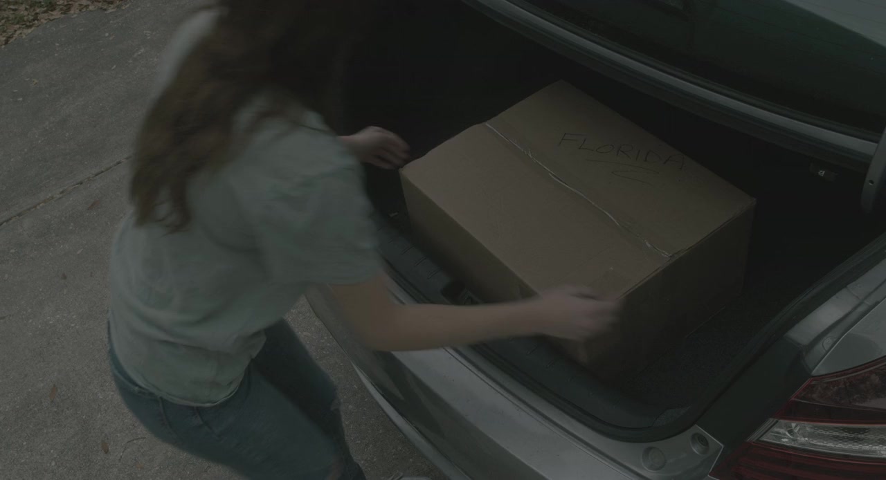 The Haunting of Julia Fields screenshot 2