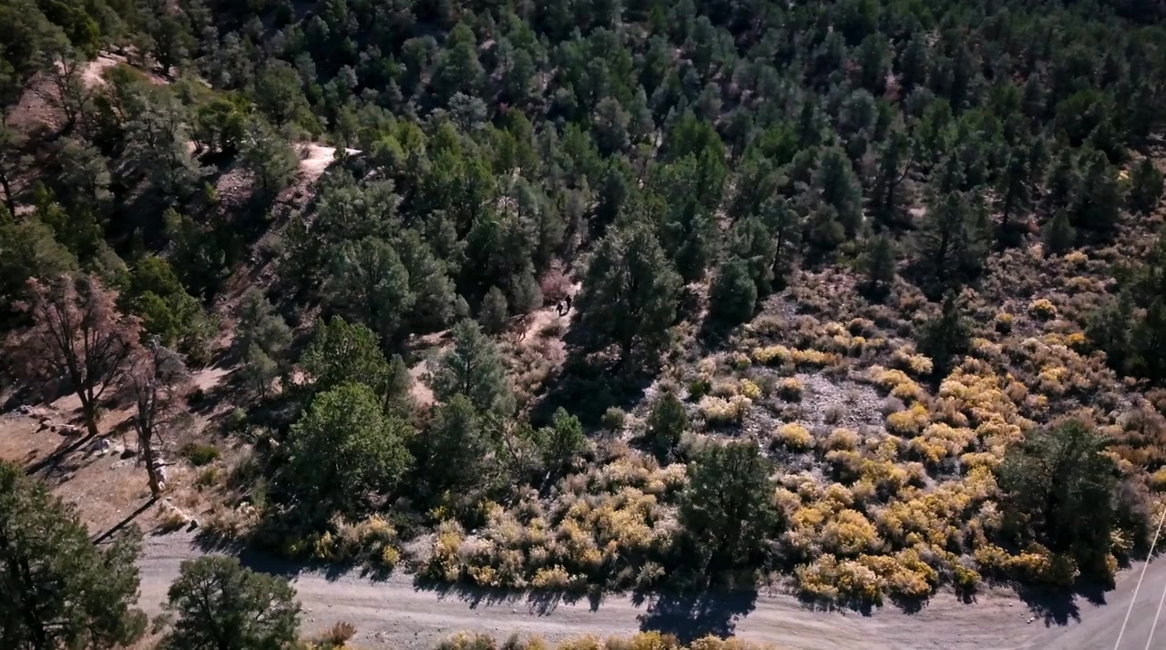 Haunting at Death Valley Junction screenshot 1