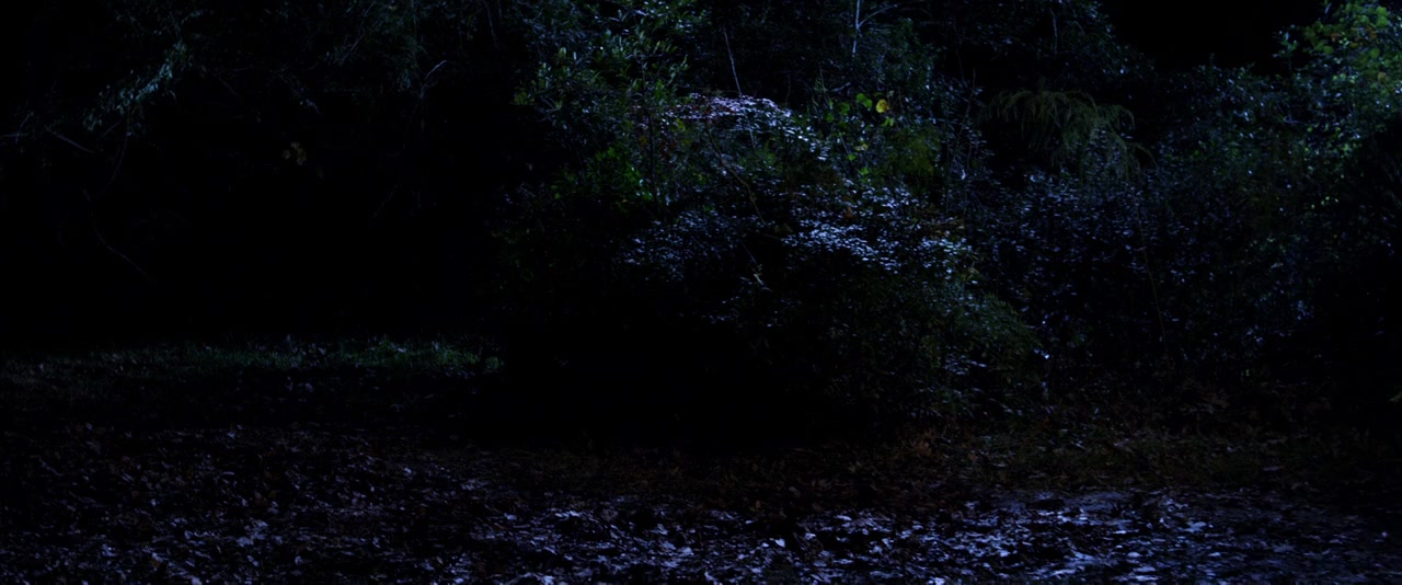 The Haunting in Connecticut 2: Ghosts of Georgia screenshot 3