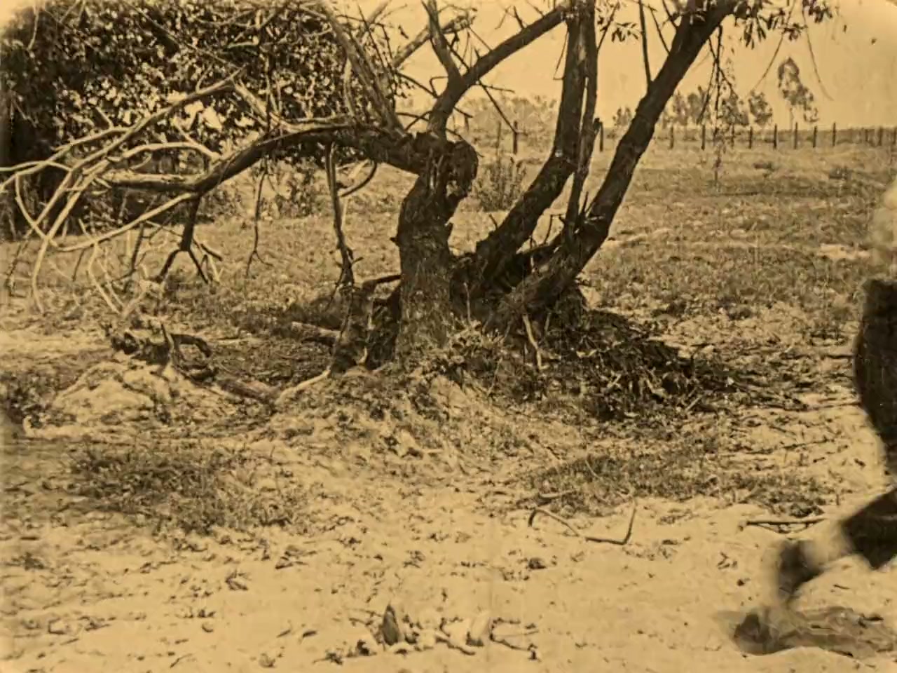 The Hayseed screenshot 1