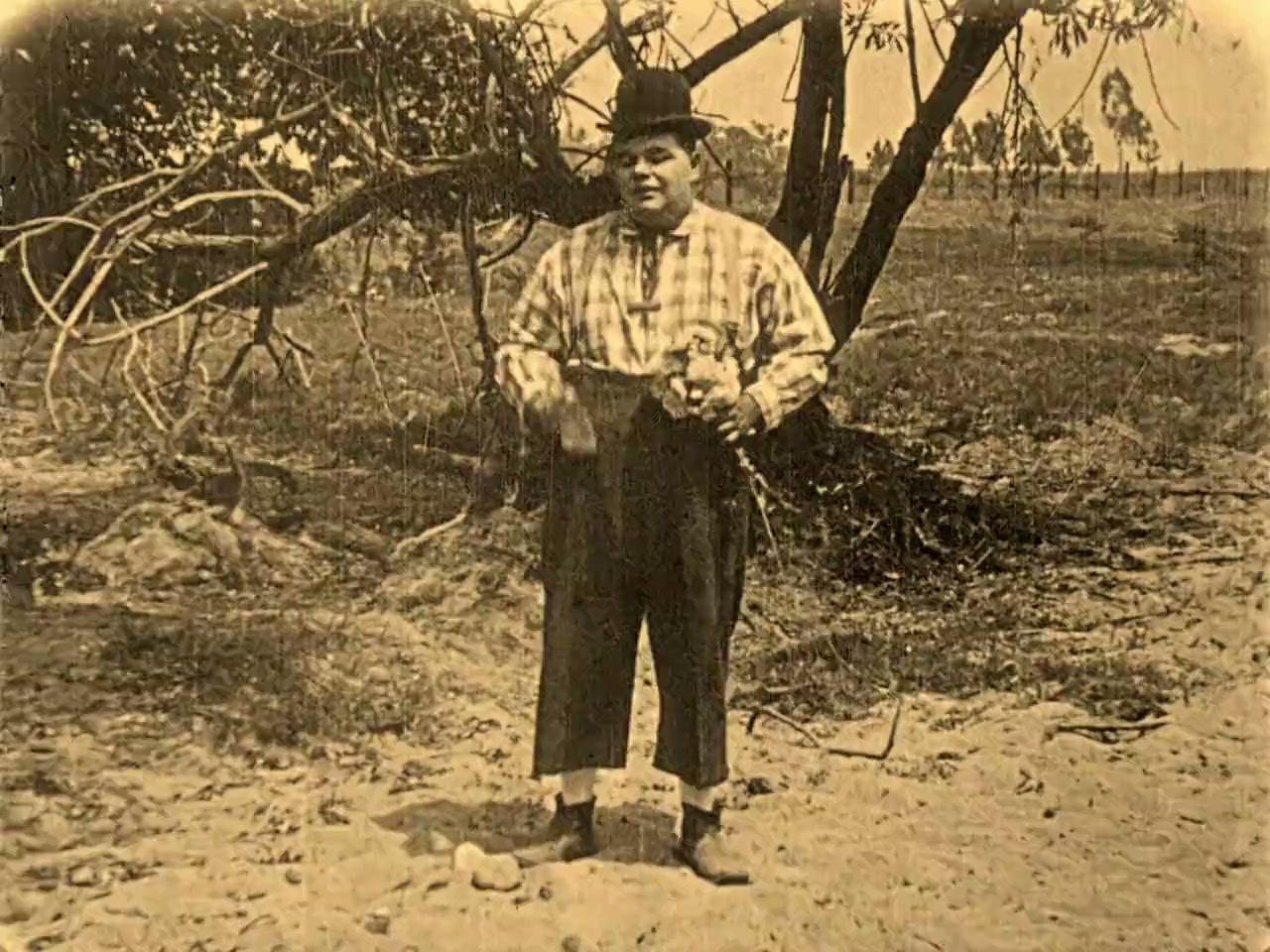 The Hayseed screenshot 2
