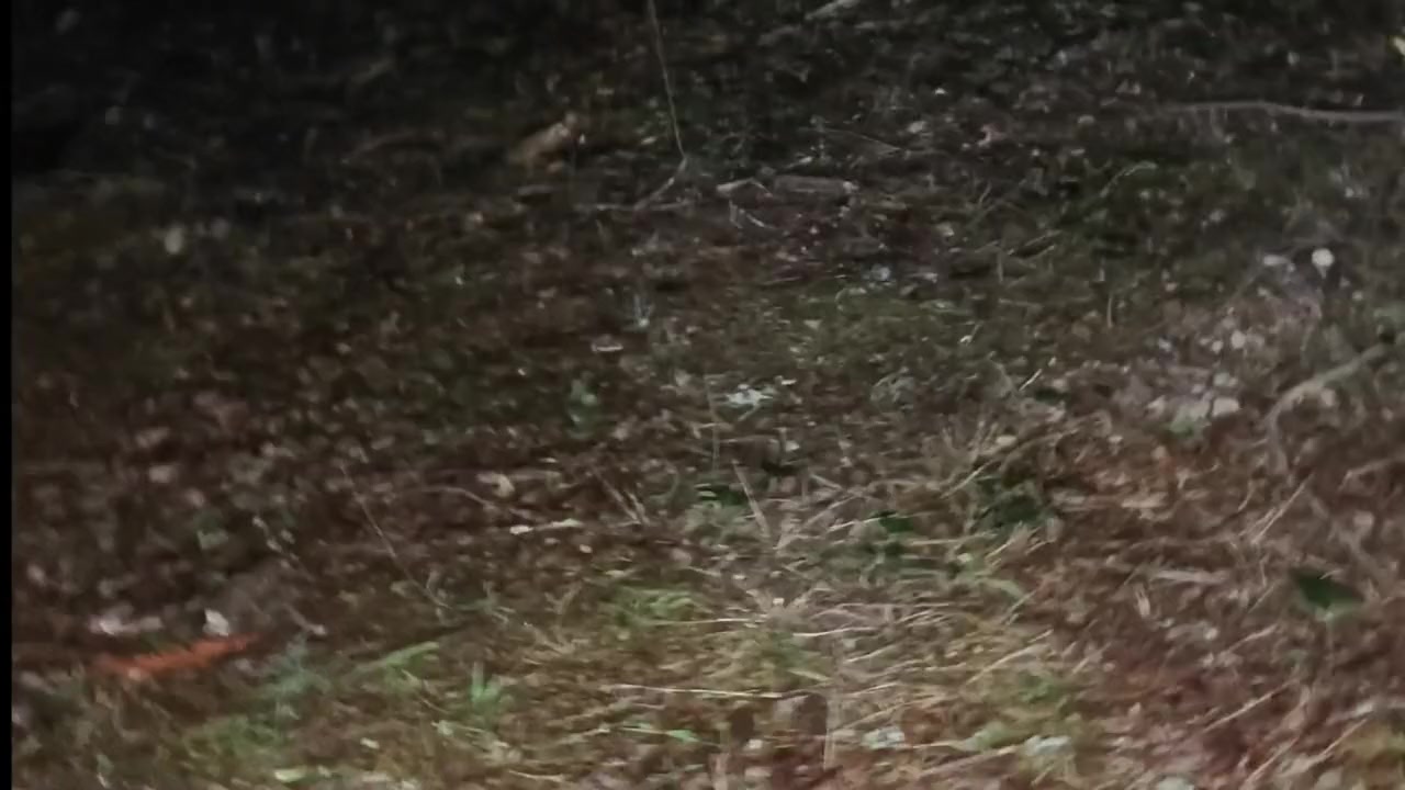 The Hazzard Files: Part One screenshot 2