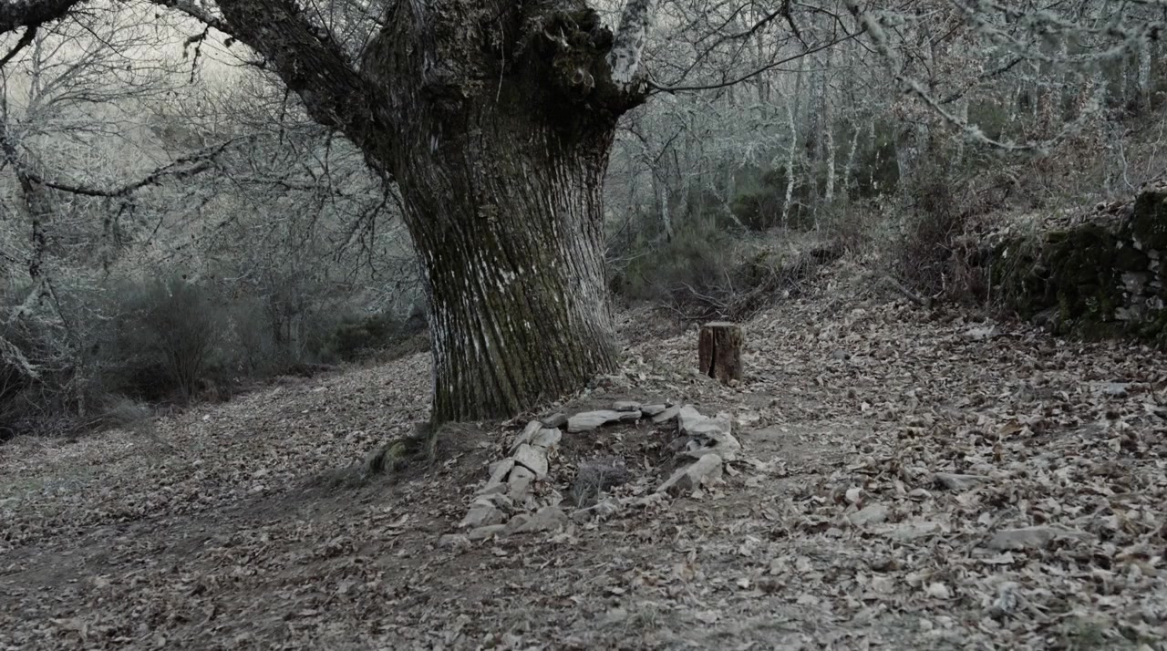 The Head Hunter screenshot 1